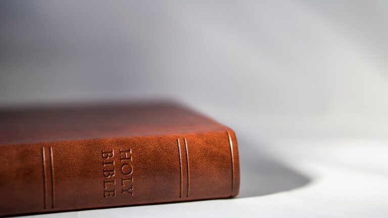 Which Chapter of the Bible Should You Read Today?