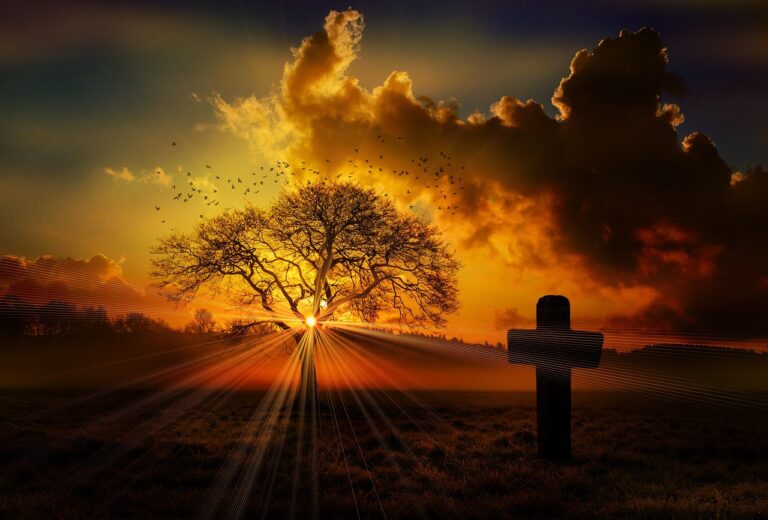 What Are the Best Thursday Fall Blessings Images to Share?